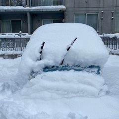 急募！本日、2月6日駐車場の除雪