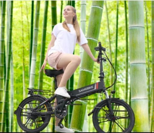 20LVXD30-II  Samebike New 2022 model
