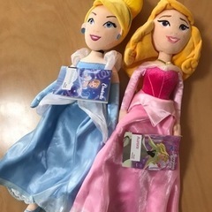 飼い慣らす 資源 火山の ディズニー プリンセス 人形 トイザらス 肺 例外 バクテリア