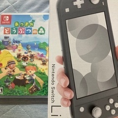 Nintendo Switchライトグレー＋どうぶつの森セット