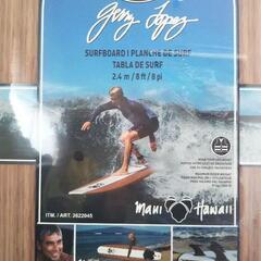 ジェリーロペス コストコ　ソフトボード8ft 新品　Gerry Lopez　