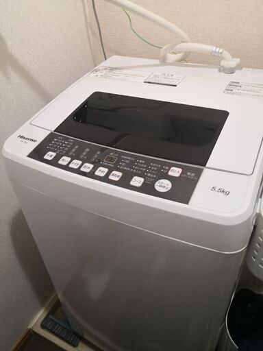 2020年製 Hisense【HW-T55C】5.5kg 全自動洗濯機 - 洗濯機