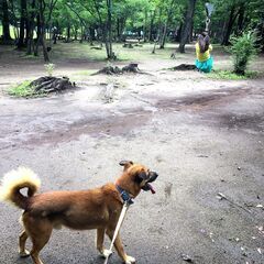 【緊急】元気たっぷりで人が大好き！なオスです。