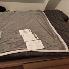 IKEA MALM ベッド+ マットレス