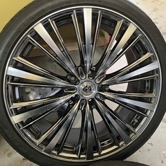 レアマイスター　プレミックス　アマルフィ　20インチ