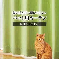 2/24午前中まで取引可能　1万円→2,500円！！【半年使用】...