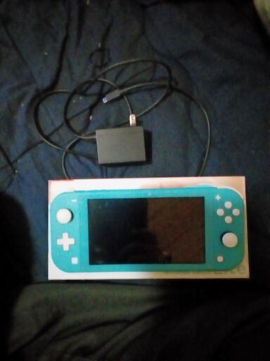 任天堂switchライト