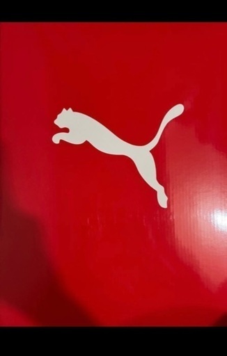 天使のはね PUMA STANDARD EDITION