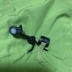 希少カラー　パタゴニア 