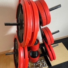 【取り引き決まりました】IROTEC (アイロテック) バーベル、ラバー付プレート、ファイティングロード ラバー付きプレート