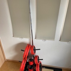 【取り引き決まりました】IROTEC (アイロテック) バーベル、ラバー付プレート、ファイティングロード ラバー付きプレート