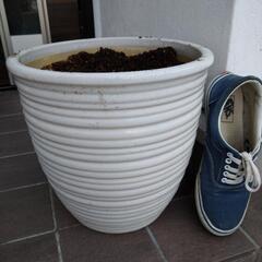 シンプル植木鉢