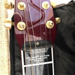 MELOVER GUTER. スチールギター