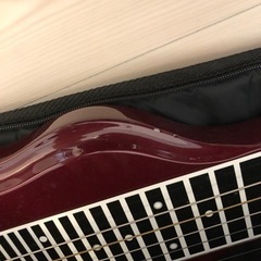 MELOVER GUTER. スチールギター