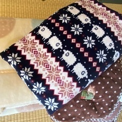 【決定】毛布・冬用敷バッド2枚