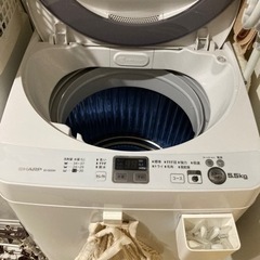 洗濯機 5.5kg  