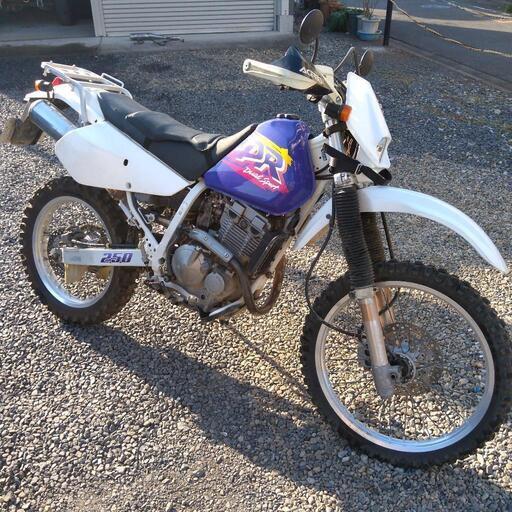 スズキ 95DR250R
