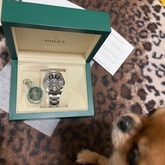 ロレックス　Explorer1  214270