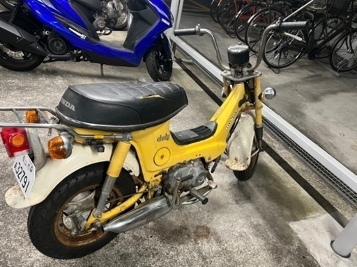 シャリー　売ります
