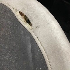 マグザム　フラットシート