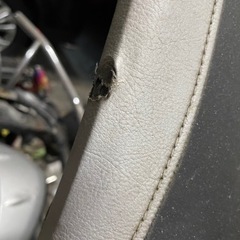 マグザム　フラットシート