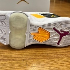 NIKE JORDAN ZOOM92 / 24.0cm / 608146-0002