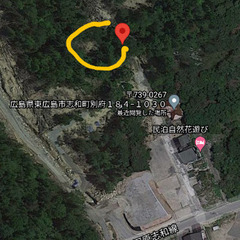 【依頼中】低山林の現地調査(写真撮影等)　広島県東広島市志和町