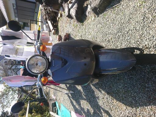 原付 ホンダ Today トゥデイ AF61
