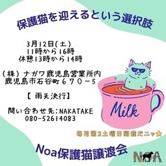 Noa保護猫譲渡会/鹿児島