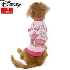 【新品！】 Disney / キャラクタートレーナー ミニーヴィ...