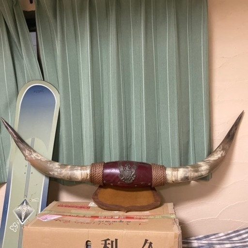 水牛の角の壁掛け飾り アメリカンインテリア www.inversionesczhn.com