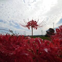 一緒に登山行きませんか？