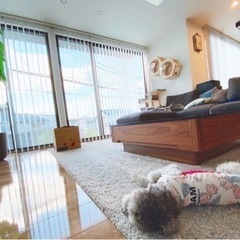 ☆美品☆アルモニア☆パオラ☆引き出し付きガラステーブル☆引き取りのみ