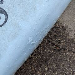 サーフボード ODYSEA セット