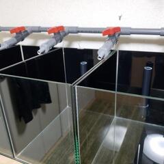お値下げ中 自作オーバーフロー水槽一式 てんこちょめだか 掛川の家具の中古あげます 譲ります ジモティーで不用品の処分