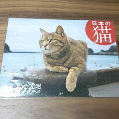 日本の猫 2022 カレンダー