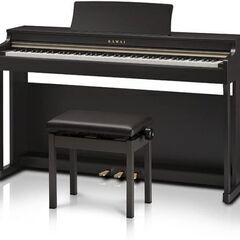 【ネット決済】KAWAI デジタルピアノ CN25R 88鍵 プ...