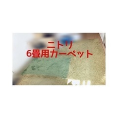 【0円】【無料】ニトリ 6畳 カーペット ラグ グリーン 緑