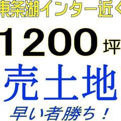 ひょうご東条インター近く＿1200坪＿＿周辺は大手企業の激戦区！...