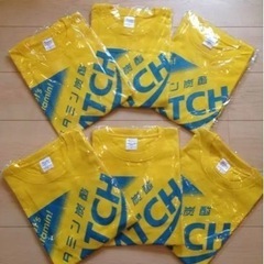 Tシャツ　Lサイズ5枚　(マッチ)