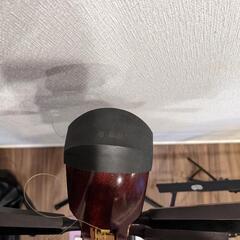 三味線　お稽古用初心者