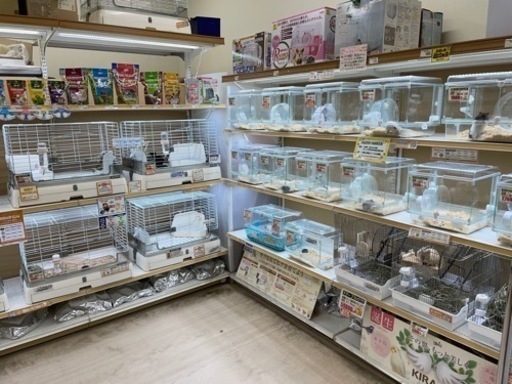 正社員 小動物 観賞魚 ペットショップ販売スタッフ Petami 朝倉のホールスタッフの正社員の求人情報 ペットアミ甘木インター店 ジモティー