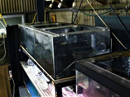 １８０×６０×ｈ４０　三分割水槽