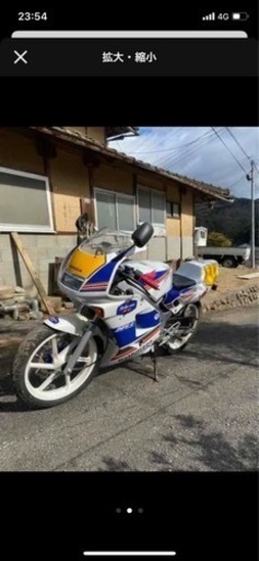 ns1 ロスマンズカラー
