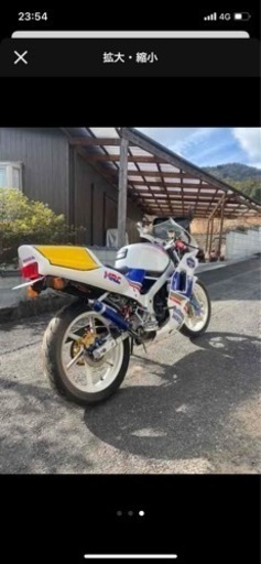 ns1 ロスマンズカラー