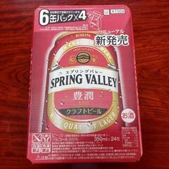 【クラフトビール】キリン SPRING VALLEY(スプリング...