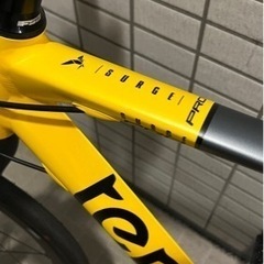 TERN SURGE PRO 2tone ライト・チェーン・空気入れ・保証書付