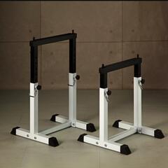 ホームジム  トレーニングマジーン　ファイティングロード／キングスセットDX（最上位品）、アイロテックセーフティーバー