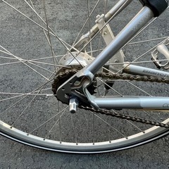 BIANCHI CAMALEONTE INN / ビアンキ カメレオンテ イン（2013モデル）