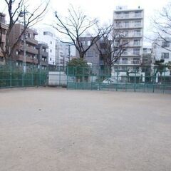 【東京・押上】業平公園で平日の昼間にキャッチボールをしてくださる方募集の画像